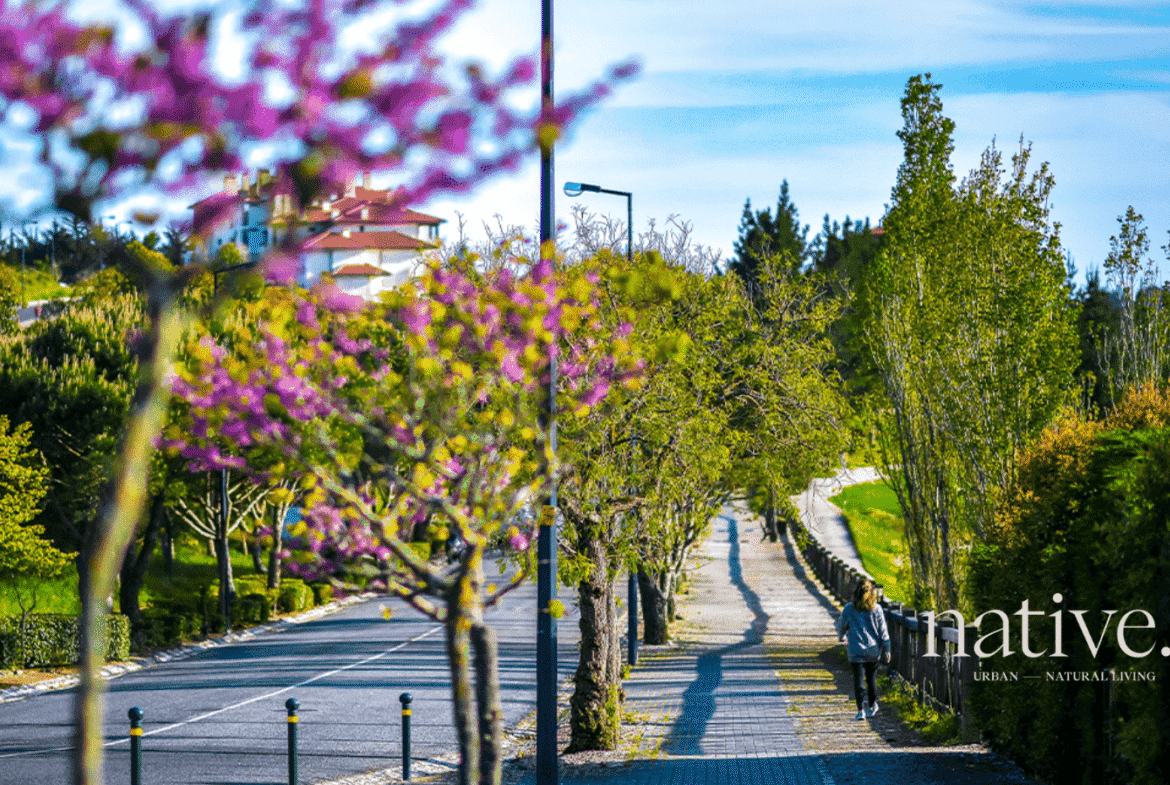 Native Lisbon – Luxury Living Near Nature