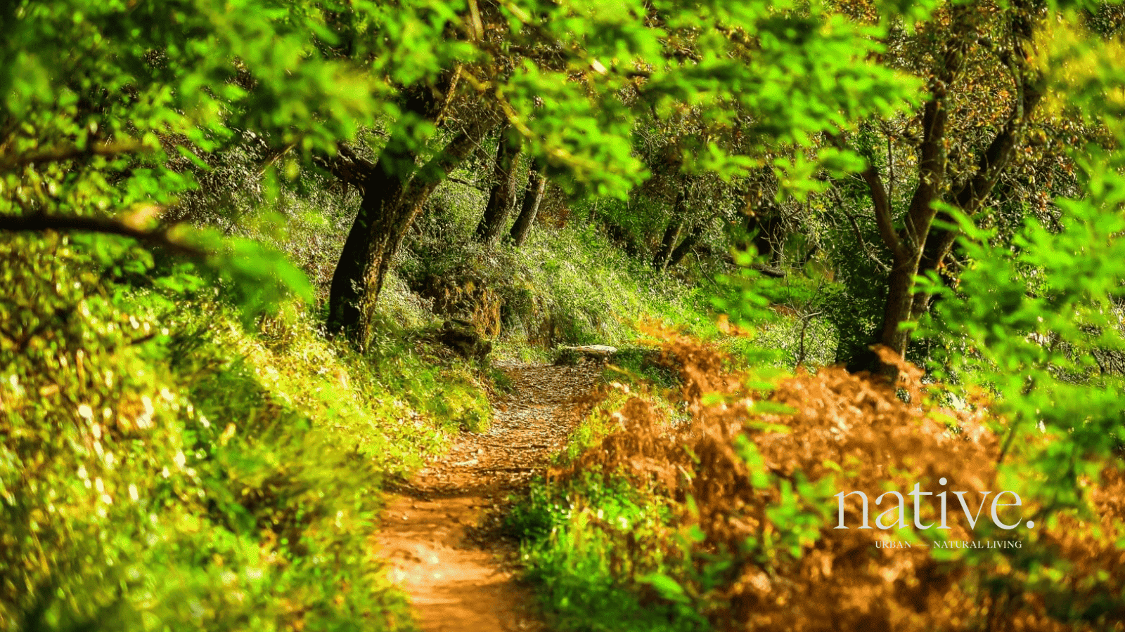Native Lisbon – Luxury Living Near Nature
